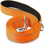 Reflective Pet Leash | Adjustable Polyester Lead Strap