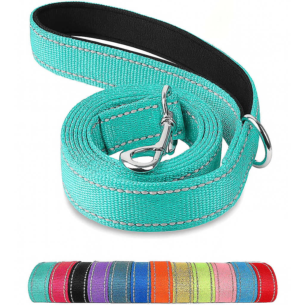 Reflective Pet Leash | Adjustable Polyester Lead Strap