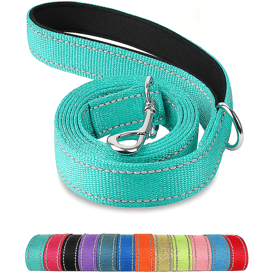 Reflective Pet Leash | Adjustable Polyester Lead Strap
